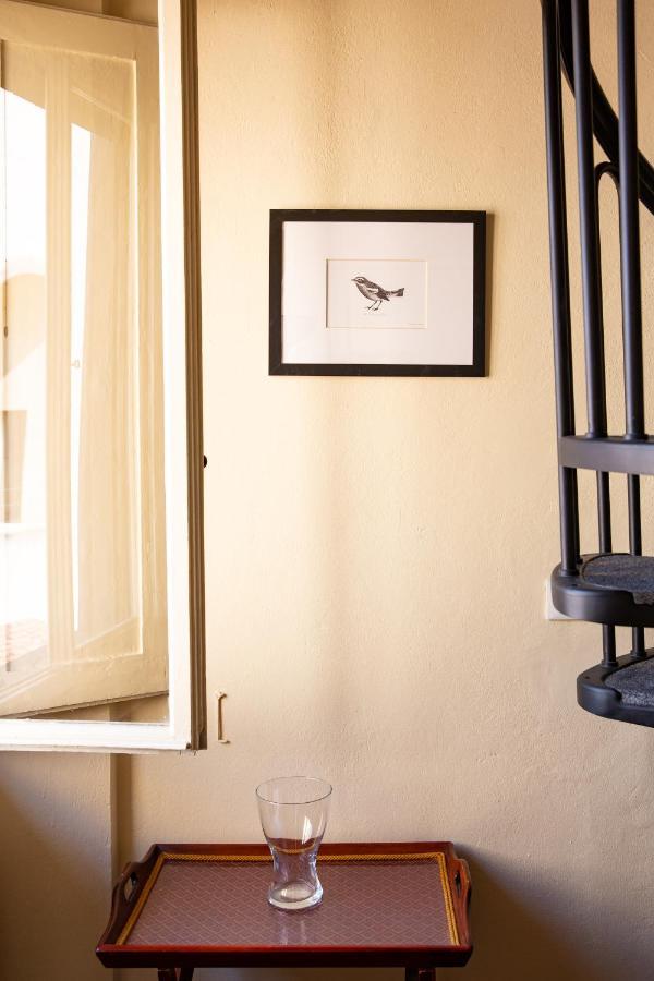 Darling Suite Near David Florence Exterior photo
